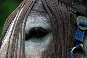 tn_DSC_0022