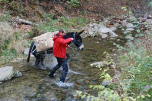 tn_DSC_0056