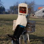 tn_DSC_0110
