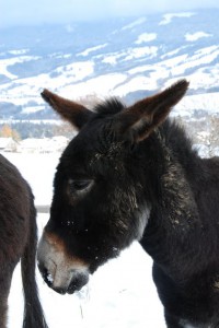 tn_DSC_0112