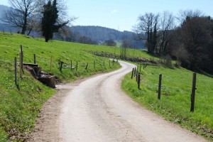 tn_DSC_0011