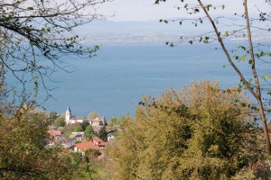 tn_DSC_0087