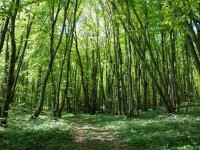 L’aventure se peau fine