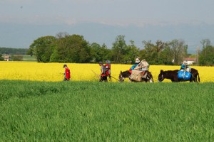tn_DSC_0280