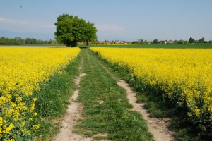 tn_DSC_0292