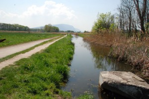 tn_DSC_0301