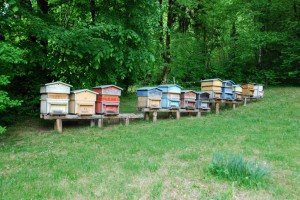 tn_DSC_0520