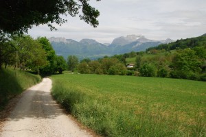 tn_DSC_0561