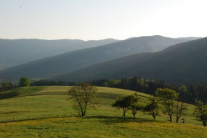 tn_DSC_0573