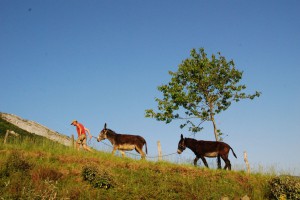 tn_DSC_0592