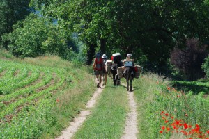 tn_DSC_0826