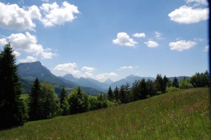 tn_DSC_0921