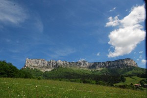tn_DSC_0933 - Copie