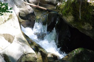 tn_DSC_0955