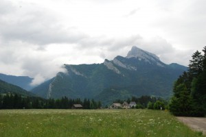 tn_DSC_1056