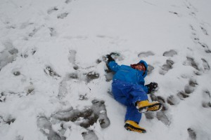tn_DSC_1063