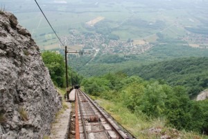 tn_DSC_1156