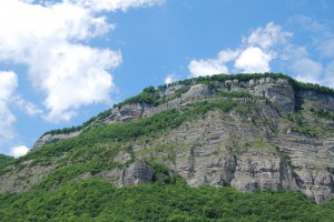 tn_DSC_1235