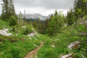 tn_DSC_1502