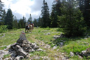 tn_DSC_1545