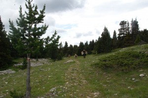 tn_DSC_1585