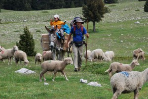tn_DSC_1653