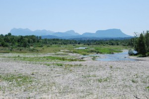 tn_DSC_2160