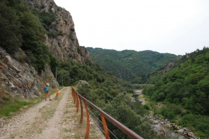 tn_DSC_2293