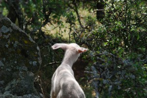 tn_DSC_2441