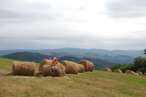 tn_DSC_2462