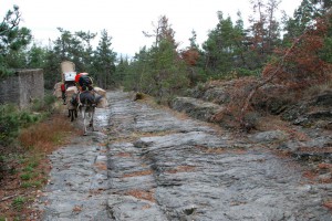 tn_DSC_2837