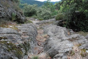 tn_DSC_2930