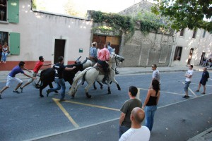 tn_DSC_3394