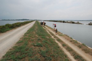 tn_DSC_3639