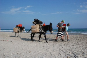 tn_DSC_3655
