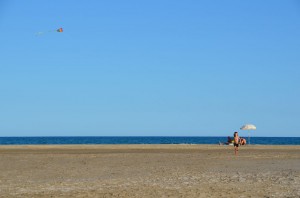 tn_DSC_0433