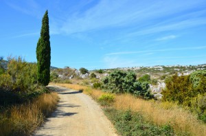 tn_DSC_0522