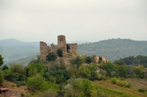 tn_DSC_0595