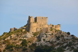 tn_DSC_0692