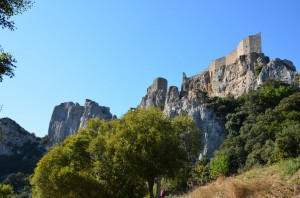 tn_DSC_0837