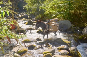 tn_DSC_1052