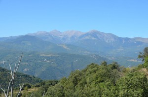 tn_DSC_1151