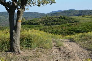tn_DSC_1172