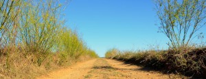 tn_DSC_1324