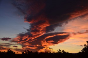tn_DSC_2322