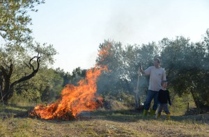 tn_DSC_2971