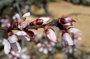 tn_DSC_3296